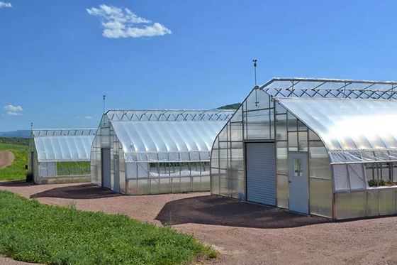 Hot Dip Glavanized Steel Polytunnel Greenhouse 10X30m Single Span