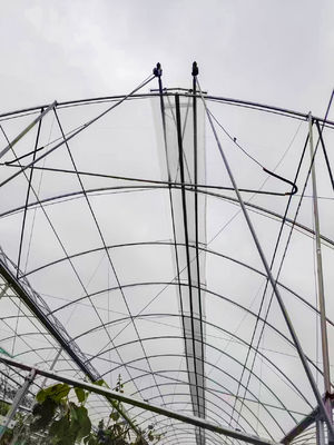 Transparent Plastic Film Greenhouse UV Resistant Anti Aging Anti Fog Anti Dust Customizable Sizes
