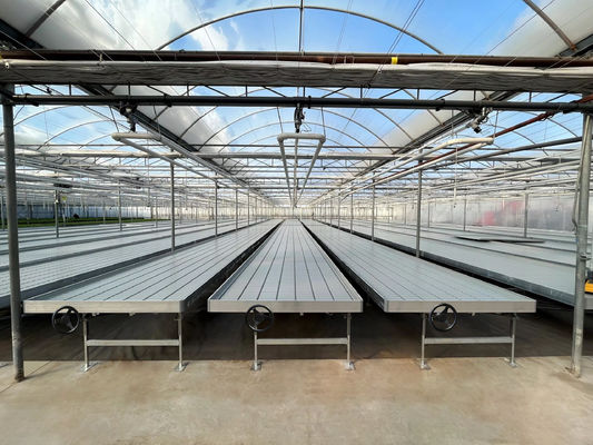 Fully Automated Light Deprivation Greenhouses Single Span Blackout Greenhouse 70m