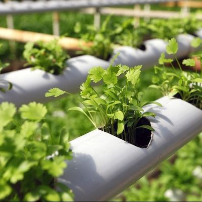 pH Control Hydroponic System Indoor Hydroponic Garden Tower With Lights