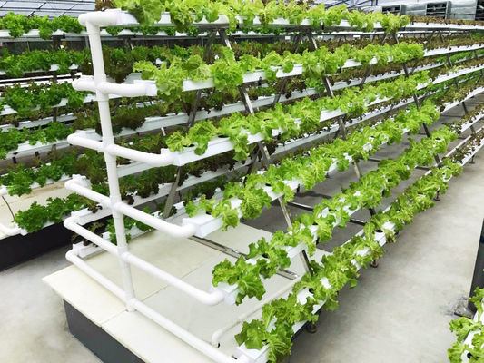 pH Control Hydroponic System Indoor Hydroponic Garden Tower With Lights