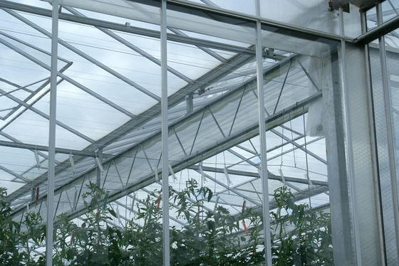 Solar Control Tempered Insulated Glass Greenhouse Hydroponics System With Accessories