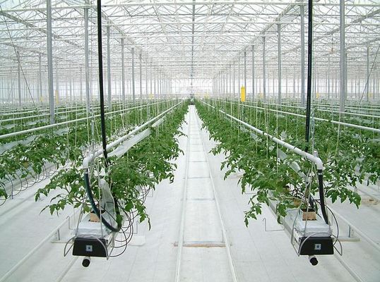 Solar Control Tempered Insulated Glass Greenhouse Hydroponics System With Accessories