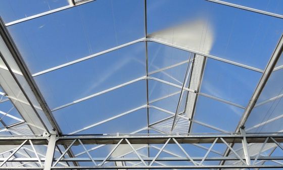 Solar Control Tempered Insulated Glass Greenhouse Hydroponics System With Accessories