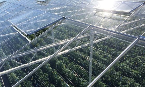 High Temperature Resistance Glass Greenhouse With Low Maintenance