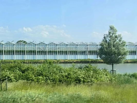 Easy Installation Glass Greenhouse with Temperature-Resistance and Design