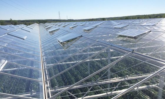 Hot Galvanzied Steel Pipe Agricultural Venlo Glasshouse Turnkey Project
