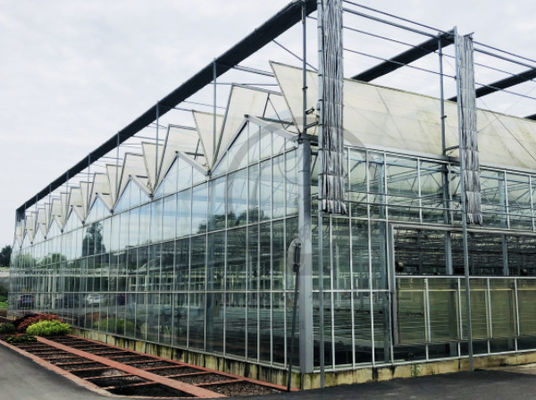 High Temperature Resistance Glass Greenhouse With Low Maintenance