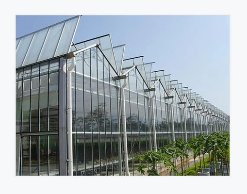 Rectangular Transparent Glass Greenhouse High Durability Wind-Resistant Low Maintenance