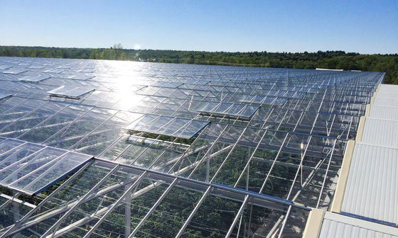 Rectangular Glass Greenhouse Wind And Temperature Resistance Easy Installation Highly Durable
