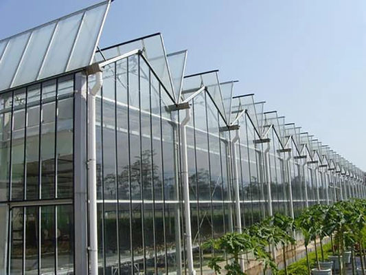 Rectangular Glass Greenhouse Wind And Temperature Resistance Easy Installation Highly Durable