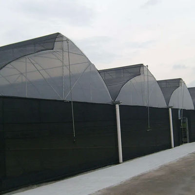 Transparent Plastic Film Greenhouse UV Resistant Anti Aging Anti Fog Anti Dust Customizable Sizes