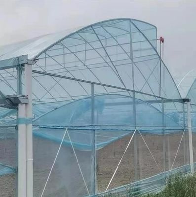 Sawtooth Roof Multi Span Plastic Film Greenhouse Width 6m 8m 9m