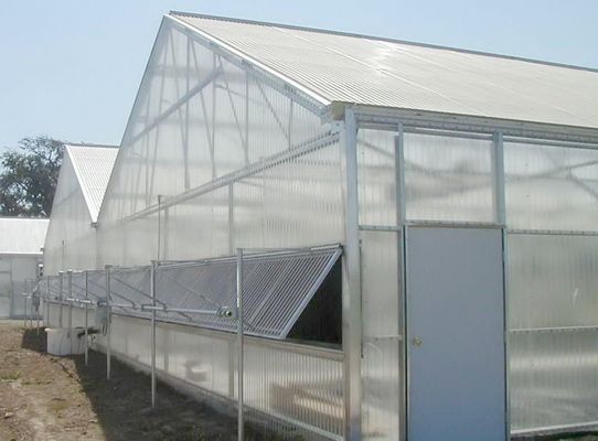 Polycarbonate Multi Span Plastic Film Greenhouse Plastic Tomato Greenhouse OEM