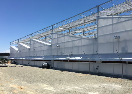 Polycarbonate Multi Span Plastic Film Greenhouse Plastic Tomato Greenhouse OEM