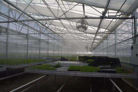 PE Plastic Film Greenhouse Multi Span Sawtooth Turnkey Project
