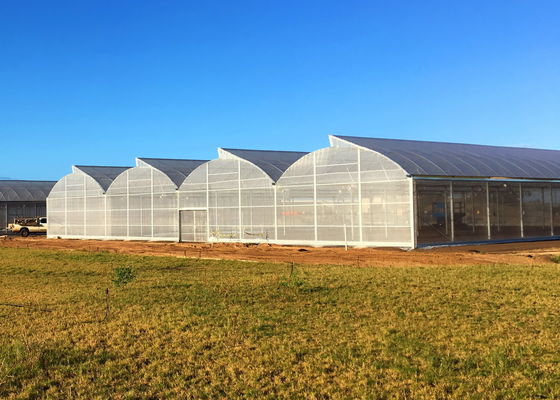 20%-90% Shading Rate and Anti-Aging for Plastic Film Greenhouse