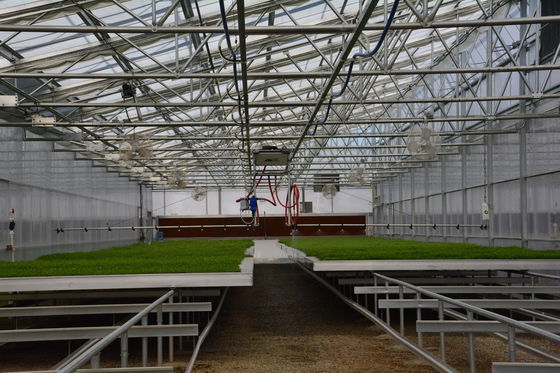 PE Plastic Film Greenhouse Multi Span Sawtooth Turnkey Project