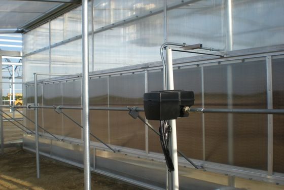 Polycarbonate Multi Span Plastic Film Greenhouse Plastic Tomato Greenhouse OEM