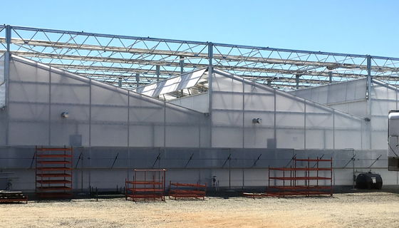 UV Resistant Greenhouse Plastic Film Anti Aging Shading Roll with Temperature Resistance