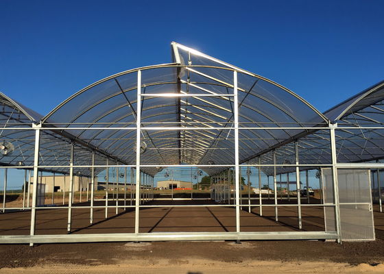 Transparent Plastic Film Greenhouse UV Resistant Anti Aging Anti Fog Anti Dust Customizable Sizes