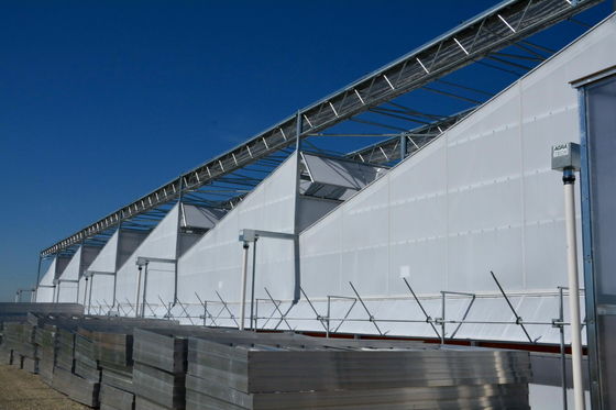UV Resistant Greenhouse Plastic Film Anti Aging Shading Roll with Temperature Resistance