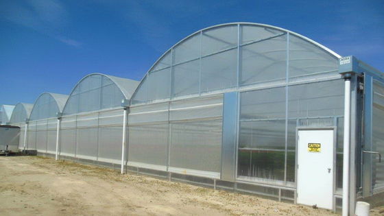 Agricultural Plastic Film Greenhouse Length 32m-80m With Hot Dipped Galvanized Steel Frame
