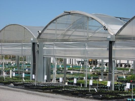Multi Tunnel Plastic Film Greenhouse 10x30m Customizable