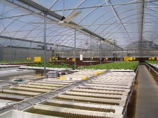Multi Span Film Hydroponic Garden Greenhouse 10X30m Customizable