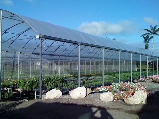 Multi Span Film Hydroponic Garden Greenhouse 10X30m Customizable