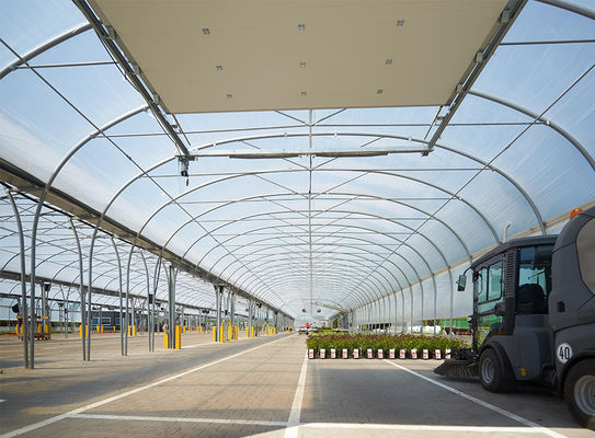 Hot Dipped Galvanized Steel Multi Tunnel Greenhouse Plastic Tomato Greenhouse OEM ODM