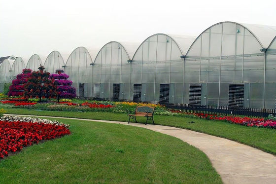 Saw Tooth Type PE Film Greenhouse Width 6m 8m 9m 10m 12m