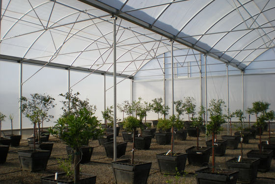 Multi Span Film Hydroponic Garden Greenhouse 10X30m Customizable