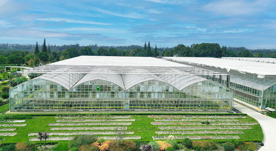 Saw Tooth Type PE Film Greenhouse Width 6m 8m 9m 10m 12m