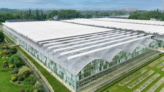 Saw Tooth Type PE Film Greenhouse Width 6m 8m 9m 10m 12m