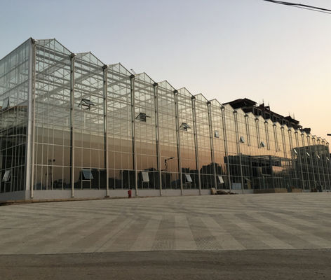 Saw Tooth Type PE Film Greenhouse Width 6m 8m 9m 10m 12m