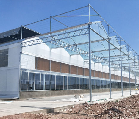 Agricultural Plastic Film Greenhouse Length 32m-80m With Hot Dipped Galvanized Steel Frame