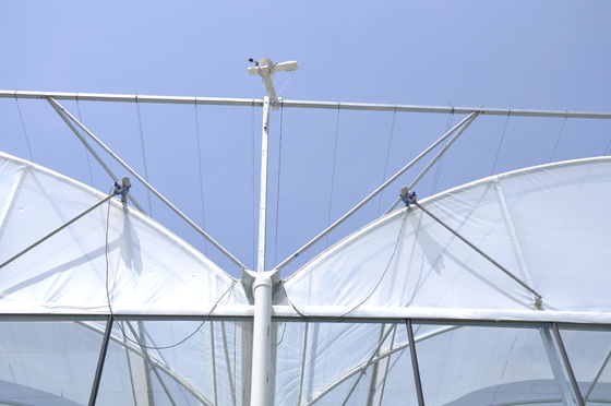 Agricultural Plastic Film Greenhouse Length 32m-80m With Hot Dipped Galvanized Steel Frame