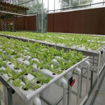 NFT System Vertical Hydroponics Garden Automatic Humidity Control