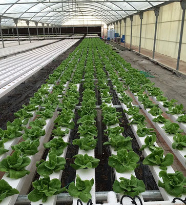 NFT System Vertical Hydroponics Garden Automatic Humidity Control