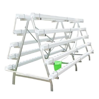 CO2 Control Seedling Hydroponic System Tray For Microgreen Growing