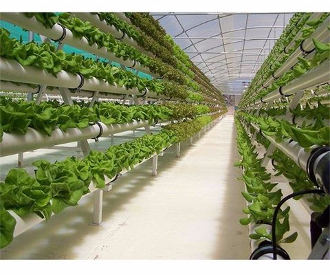 NFT System Vertical Hydroponics Garden Automatic Humidity Control