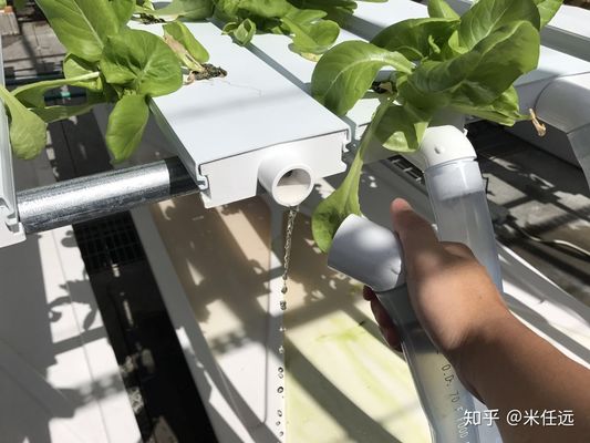 Hydroponic Grow System Garden Including LED Fluorescent And HID Lighting