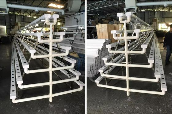 CO2 Control Seedling Hydroponic System Tray For Microgreen Growing