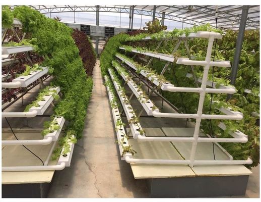 pH Control Vertical Hydroponic System NFT Gully Channel 4x8 Flood Tray