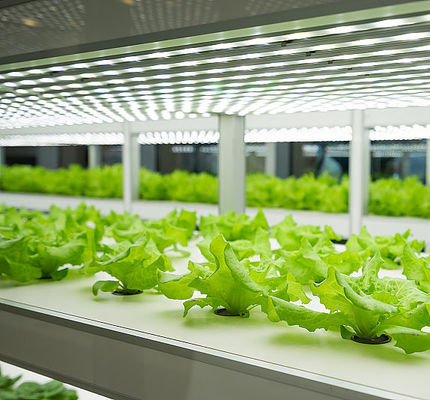 NFT System Vertical Hydroponics Garden Automatic Humidity Control