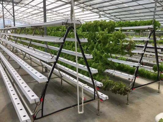 pH Control Vertical Hydroponic System NFT Gully Channel 4x8 Flood Tray