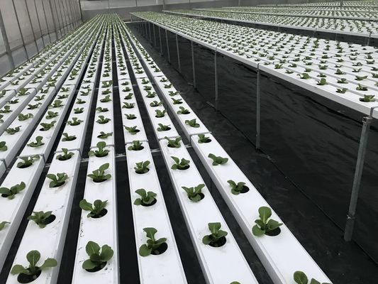 Hydroponic Grow System Garden Including LED Fluorescent And HID Lighting