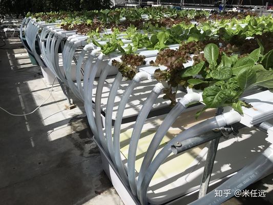 pH Control Vertical Hydroponic System NFT Gully Channel 4x8 Flood Tray