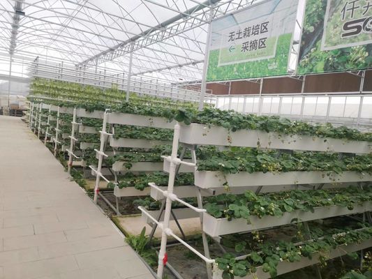 CO2 Control Seedling Hydroponic System Tray For Microgreen Growing